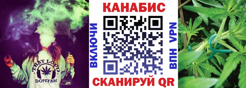Какие есть наркотики Шадринск ГЕРОИН  COCAIN  Меф мяу мяу  MEGA ONION  Псилоцибиновые грибы  Гашиш 